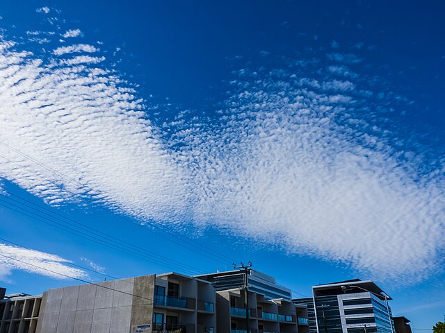 cirrocumulus