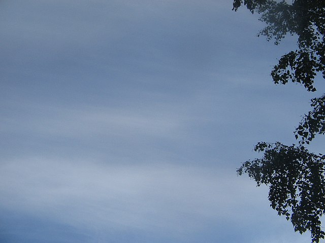 cirrostratus